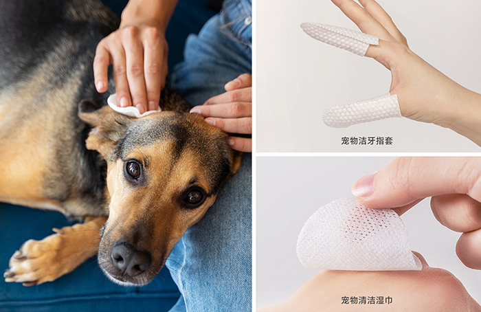 聚乳酸纖維無紡布在寵物用品中的應(yīng)用
